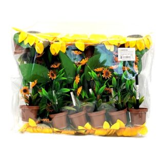 Pen W/Sunflower #Bp140