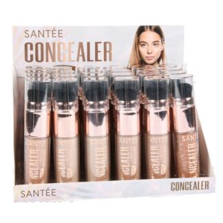 Concealer Brush Matte Asst Color