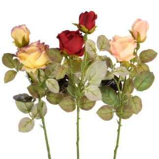 Plastic Lover Rose 2Heads Asst 4Color