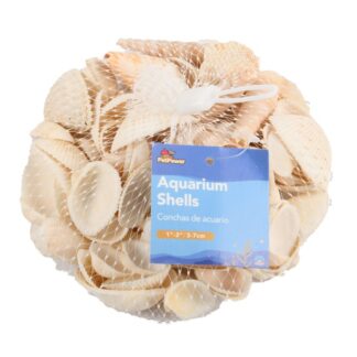 Aquarium Shells Asst 3-7 Cm