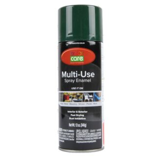 Color Care Spray Paint Dark Green 12 Oz