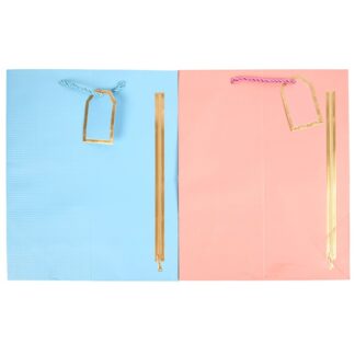 Gift Bag W/Printed Zipper Asst Col Medium