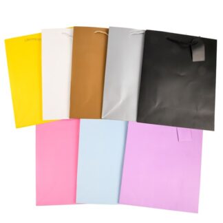 Premium Gift Bag Asst Pastel Matte Col Lg