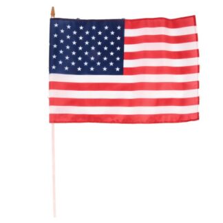 United States Flag 12X18 In