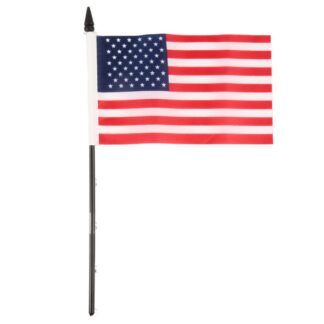United States Flag 4X6 In