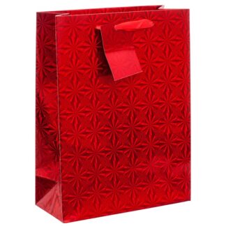 Premium Gift Bag Hologram Small Asst Color