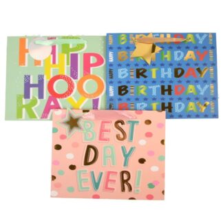Happy Bday Gift Bag Foil Accent Asst Wide Md