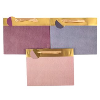 Everyday Gift Bag Foil Accents Asst Wide Md