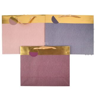 Everyday Gift Bag Foil Accents Asst Wide Lg