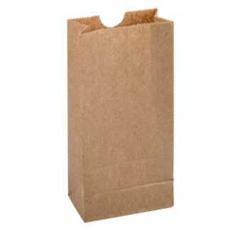 Paper Lunch Bag 2 4.14X2.36X827 In Size#2 500 Ct