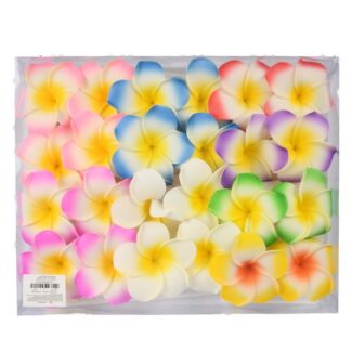 Hair Clip Plumeria Flower Asst Color