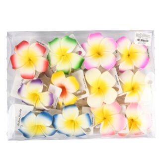Hair Claw Clip Plumeria Flower Asst Color