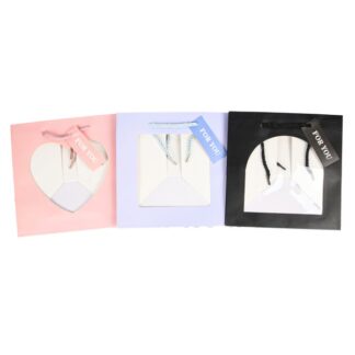 Gift Bag Open Window Rope Handle Asst 9X9X7.87"