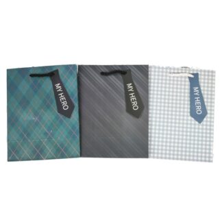 Gift Bag Manly Asst Patterns W/Rope Handles Md