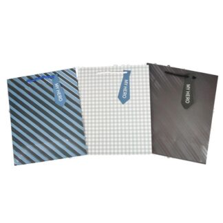 Gift Bag Manly Asst Patterns W/Rope Handles Lg