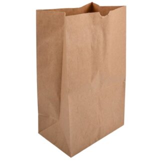 Paper Bag 500Ct 19.69 X 8.66 X 8.66