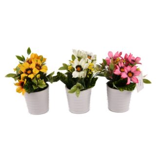 Nuvalu Flower Plant In White Plastic Pot 3 Color