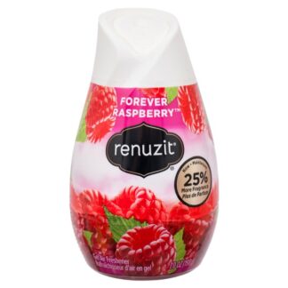 Renuzit Cones Forever Raspberry 7 Oz