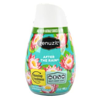 Renuzit Cones After The Rain 7 Oz