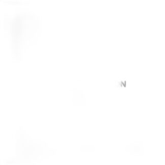 Gabriela Coconut Milk W/ Nata De Coco Original 485Ml