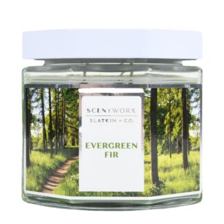 Scented 3-Wick Candle Evergreen Fir 14.5 Oz