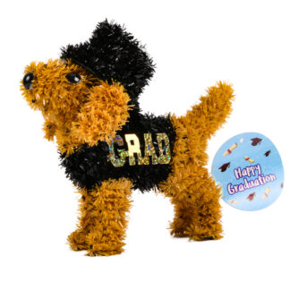 Hg Graduation Table Deco Puppy