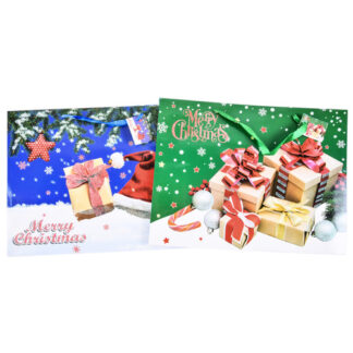 Hx Wide Gift Bag Lg Asst Styles