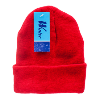 Hw Winter Beanie Asst Colors #Ht143