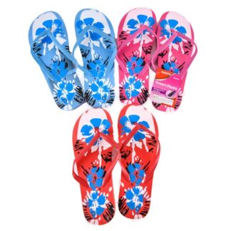 Hs Sandal Lady Flip Flops W/Mixed Clr & Sze #Z44204A