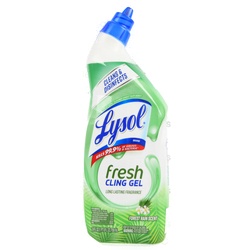 Lysol Toilet Bowl Cleaner Clean & Fresh Country 24 Oz