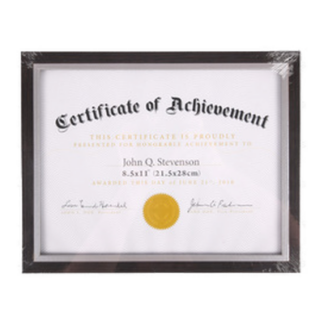 Document Frame 8.5" X 11" Asst Color