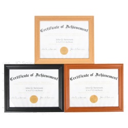 Document Frame 8.5" X 11" Asst Color