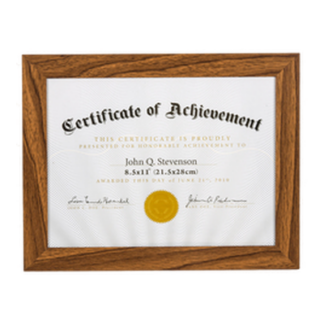 Document Frame 8.5 X 11" Asst Color