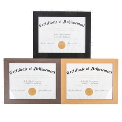 Document Frame 8.5 X 11" Asst Color