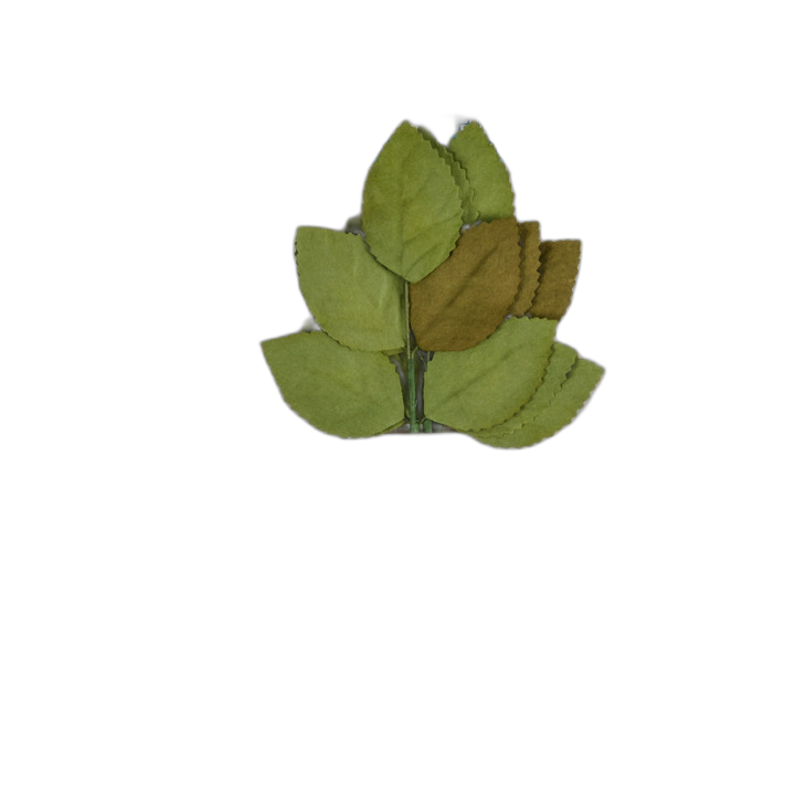 Angels Craft Artificial Leaves 12 Ct