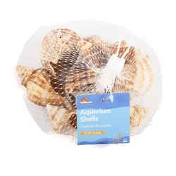 Aquarium Shells Queen Conch 3-7 Cm