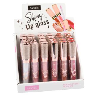 Santee Shiny Lip Gloss Asst Colors 0.17 Oz