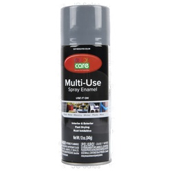 Color Care Spray Paint Dark Gray Gloss 12 Oz