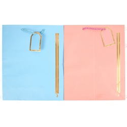Gift Bag W/Printed Zipper Asst Col Medium