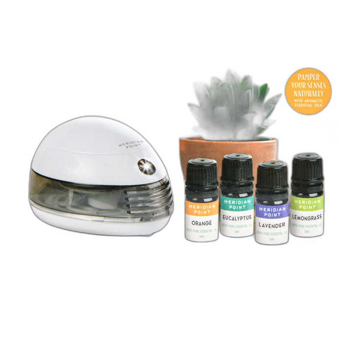 Portable Diffuser W/Essential Oils Aroma Kit