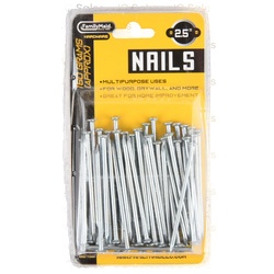 Nails Multipurpose Uses 2.5 In 160 Gr