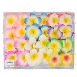 Hair Clip Plumeria Flower Asst Color