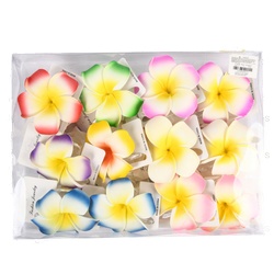 Hair Claw Clip Plumeria Flower Asst Color