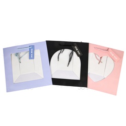 Gift Bag Open Window Rope Handle Asst 11.8X11.8X7.87"