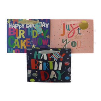 Happy Bday Gift Bag Foil Accent Ribbn Handl Asst Wmed