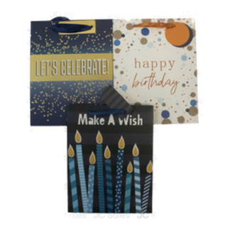 Happy Bday Gift Bag Foil Accent Ribbn Handl Asst Med