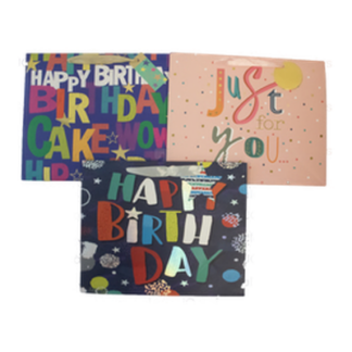 Happy Bday Gift Bag Foil Accent Ribbn Handl Asst Wlg