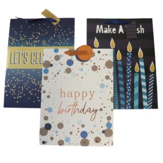 Happy Bday Gift Bag Foil Accent Ribbn Handls Asst Xlg