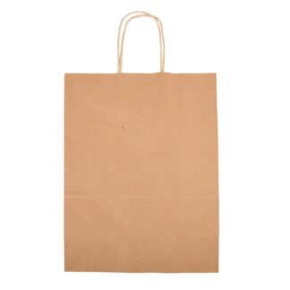 Paper Bag W/Handle Sm 10 X 5 X 13 In 250 Ct