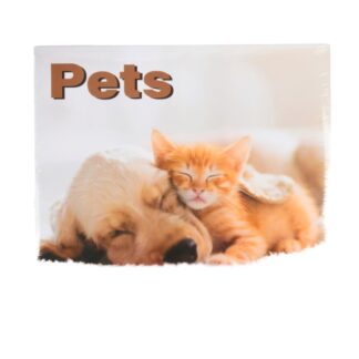 Wall Calendar 2027 16-Months W/ Pet Designs